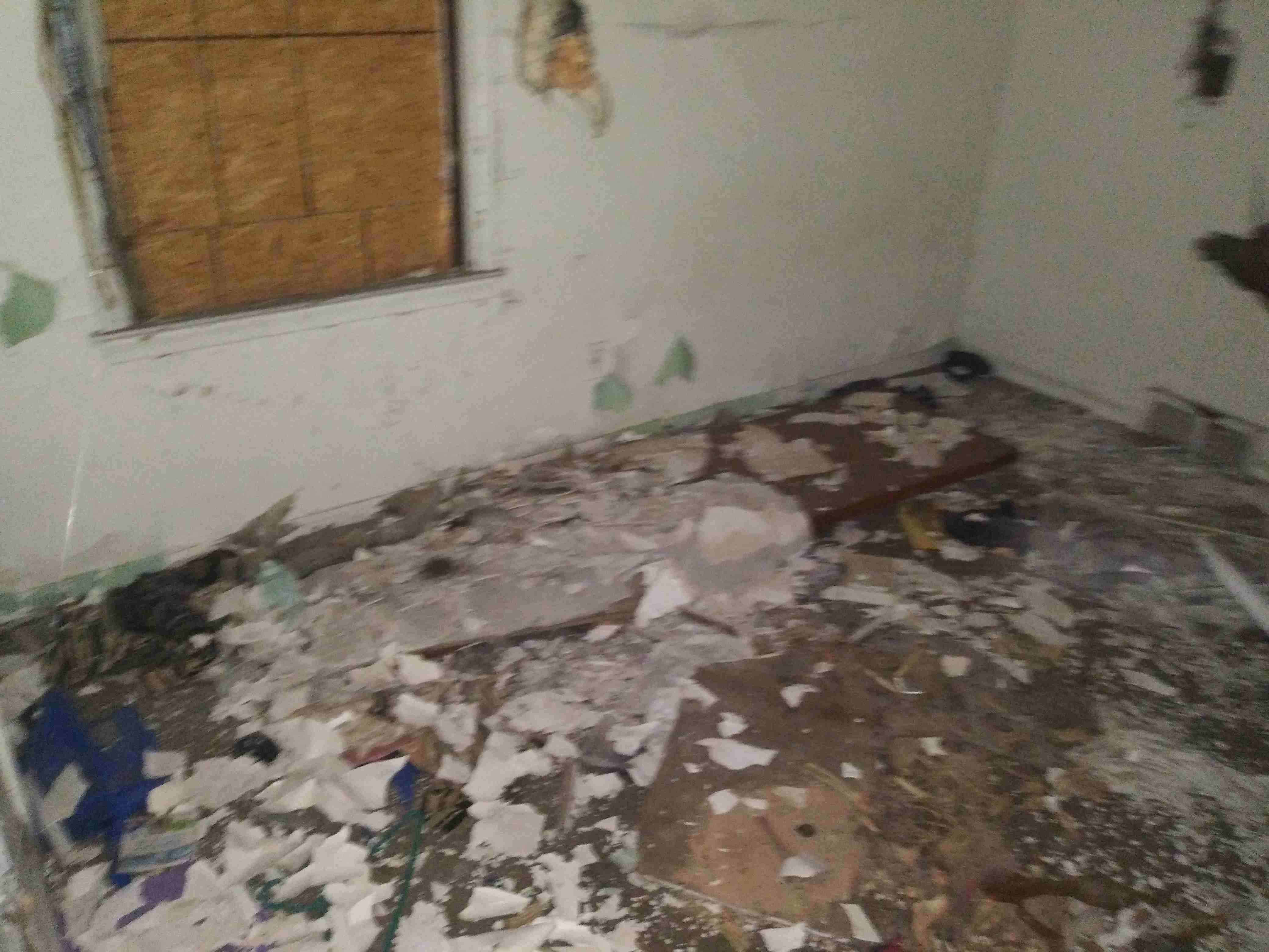 20200821_133056 (1).jpg